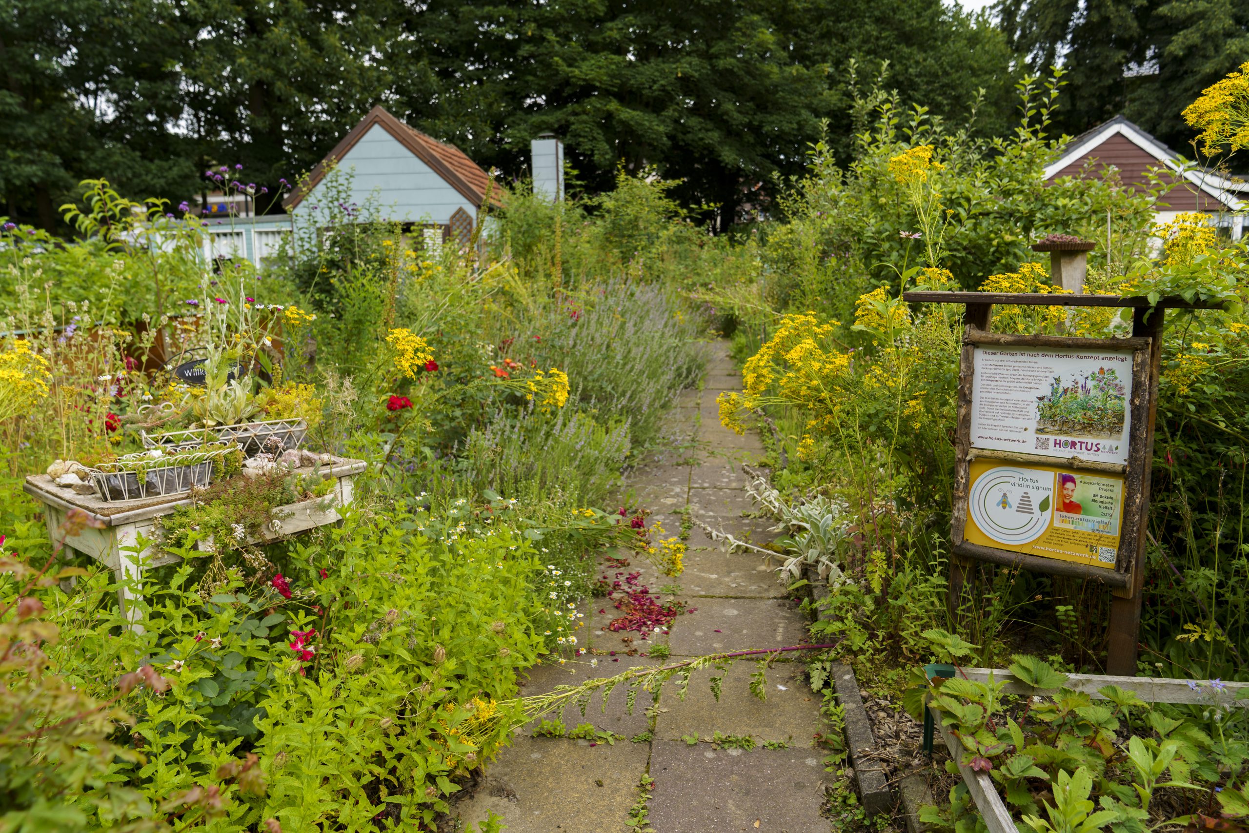 Mit der Straßenbahn in Garten fahr’n Kultur geht überall