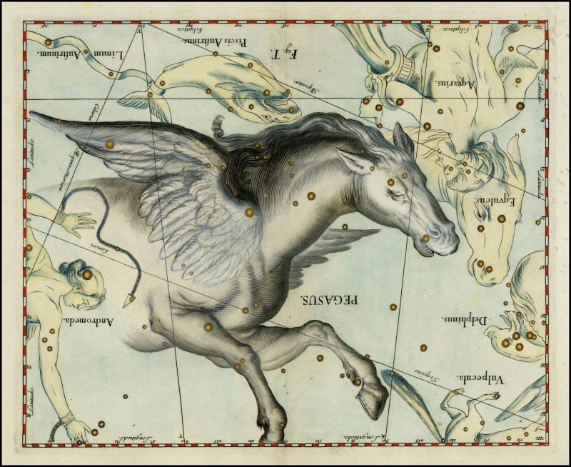 Das Sternbild Pegasus als geflügeltes Pferd.