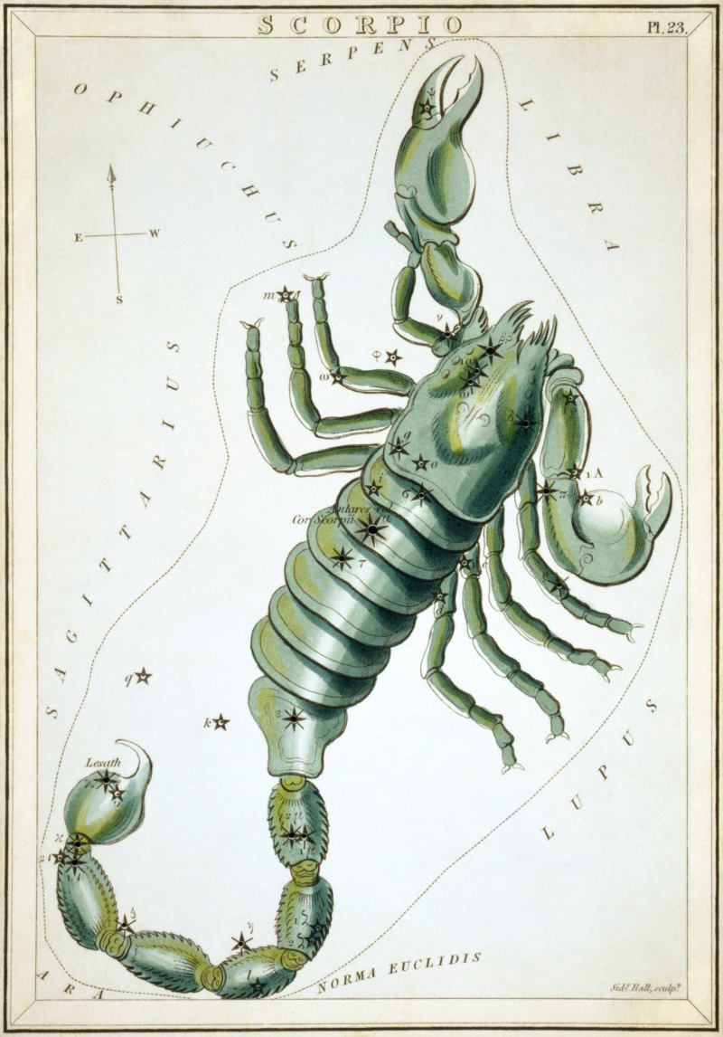 Das Sternbild Skorpion in einer historischen Darstellung aus dem Jahr 1825 | Aus: Urania’s Mirror, Jehoshaphat Aspin, 1825 – frei verwendbar, Public Domain