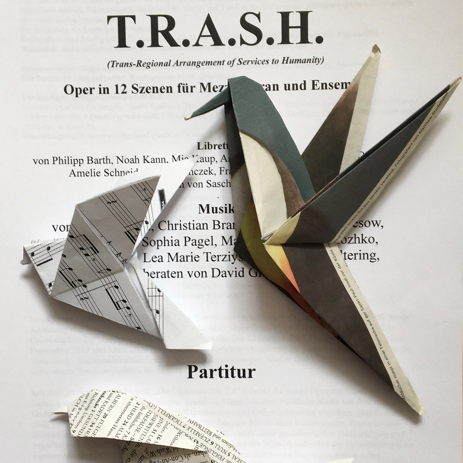 Trash Birds