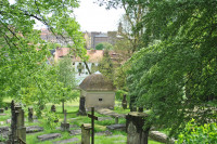 Vom Pestacker zum Sündenfall - Führung über den barocken Nikolaifriedhof