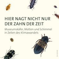 Hier nagt nicht nur der Zahn der Zeit – von Papierfischchen und anderen Museumsfressern