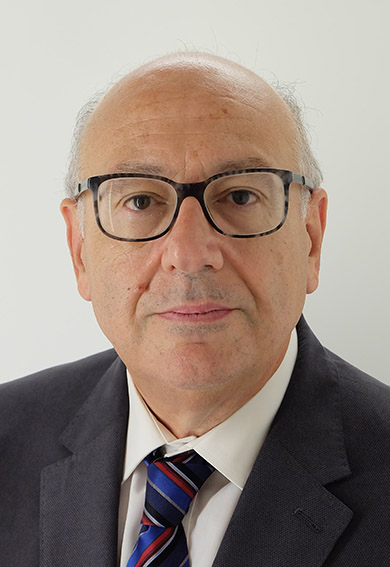 Mario Azzopardi | Director, Culture Directorate