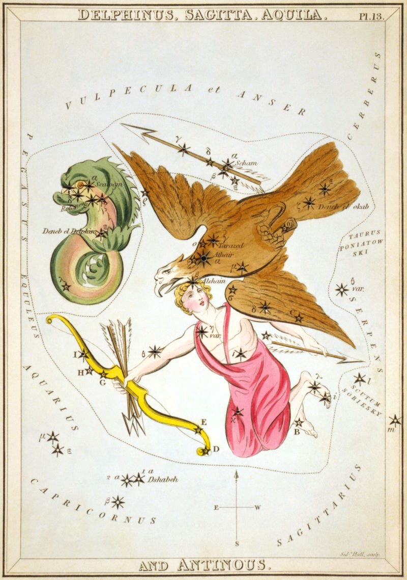 Sternbild Delfin | Jehoshaphat Aspin, Urania’s Mirror, 1825, Public Domain Das fantasievoll gestaltete Sternbild Delfin auf einer Sternkarte aus „Urania’s Mirror“ von Sidney Hall aus dem Jahr 1825.