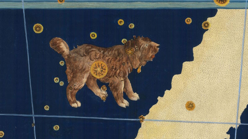 Der Kleine Hund in einer Darstellung von Johannes Bayer | Public Domain